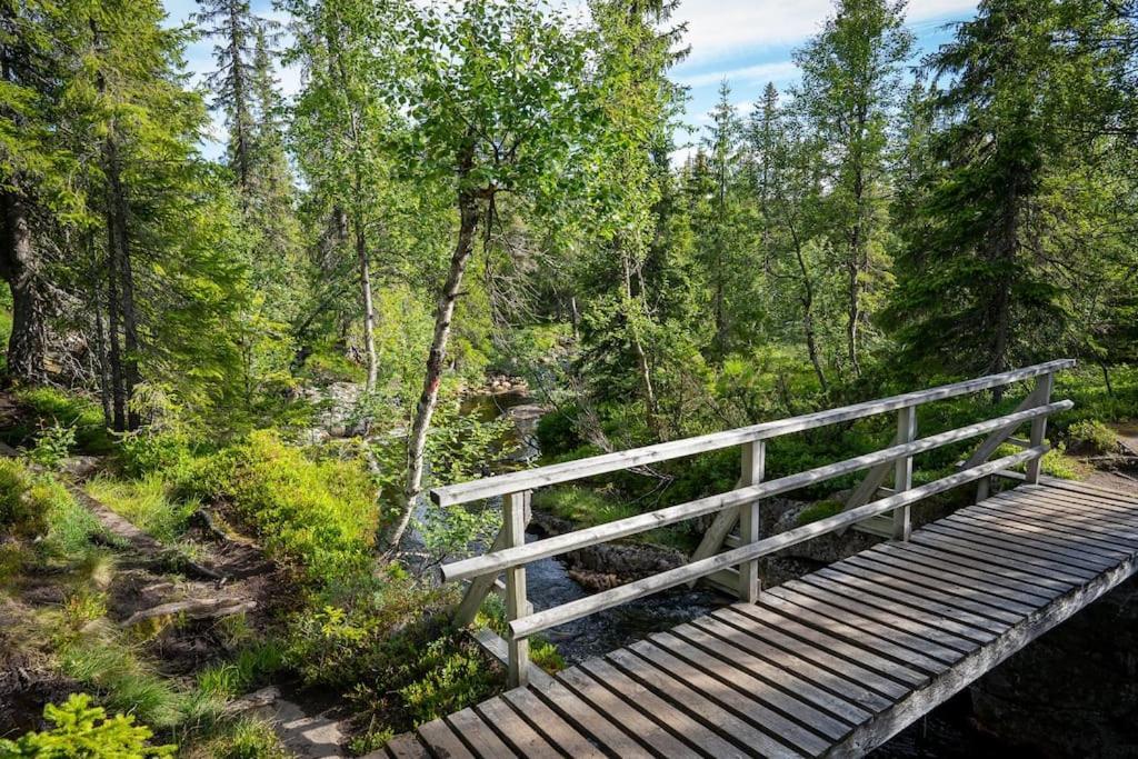 Chalet New, Modern, Cosy Hut Close To Norefjell & Noresund